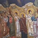 Помозимо обнову фресака манастира Косијерева