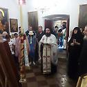 Икона Пресвете Богородице у Цетињском манастиру