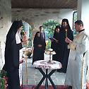 Feast Day of Most Holy Mother of God in the Diocese of Vranje