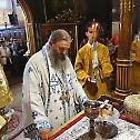 Feast day of the Dormition of the Holy Mother of God in Vienna