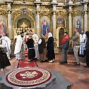 Патрон Епархије темишварске у светлу јубилеја Цркве