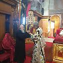 Serbian Patriarch Irinej at the Liturgy in the Belgrade Cathedral