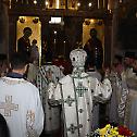 Ктиторска слава, рукоположење и освећење параклиса краља Урошице у Ариљу