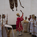 The Feast of Saint Petka in San Marcos, California