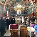 Свети Стефан Дечански прослављен у Борову Насељу 