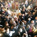 Свети Стефан Дечански прослављен у Борову Насељу 
