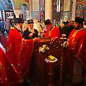 Patriarchal Liturgy and ordination in Zarkovo, Belgrade