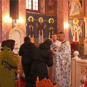 Прослава празника Ваведења Пресвете Богородице у Карловцу