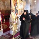 Архијерејска Литургија у манастиру Милешеви