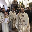 Ваведење Пресвете Богородице у Цетињском манастиру