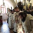 Ваведење Пресвете Богородице у Цетињском манастиру