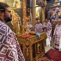 Сабор Пресвете Богородице у храму Васкрсења у Бечу