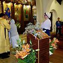 Богојављење у парохији Светог Николаја Жичког у Чилеу