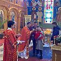 Christmas in the Diocese of Eastern America(photo)