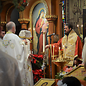 Celebrating the Nativity of our Lord at Saint Steven’s Cathedral in Alhambra, California