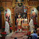 Celebrating the Nativity of our Lord at Saint Steven’s Cathedral in Alhambra, California
