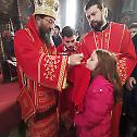 Канонска посета Епископа жичког Јустина намесништву црногорском