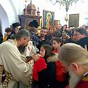 Bishop Metodije celebrates in Cetinje Monastery