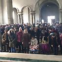 On Second Sunday of Great Lent Bishop Milutin celebrated at the Cathedral church