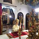On Sunday of Thomas Serbian Patriarch serves in the monastery of the Entry of the Most Holy Theotokos into the Temple