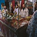 Недеља о слепом у Саборном храму у Босанском Петровцу