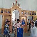 Света архијерејска Литургија у Брадини