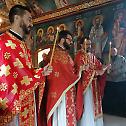 Прослављени Свети мученици сурдулички у Вуковару 