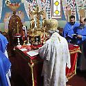 Патријарх богослужио у Вазнесењском храму у Жаркову
