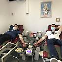 Даривање крви у болници у Брчком 