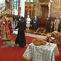 Богородица Кикоска прослављена у Александрији