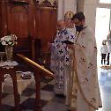 Херцеговина: Молитвени помени митрополиту Амфилохију