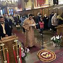 Заупокојена литургија у Саборном храму у Бечу