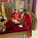 Прослава Митровдана у Франкфурту и литургијско крштење
