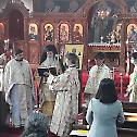 The Celebration of the Feast of St. Nicholas in Seoul