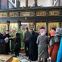 Jerusalem: Patronal Feast in the Cathedral of St. Alexander Nevsky