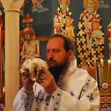 Епископ Сергије богослужио у Рмњу