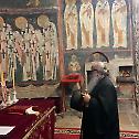 His Eminence Metropolitan Hrizostom, Locum Tenens of the Patriarchal Throne, visits the Pec Patriarchate