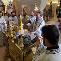 Bishop Stefan celebrated the Holy Liturgy and the commemoration at the tomb of Patriarch Irinej in the crypt of Saint Sava Cathedral