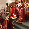 Christmas in Diocese of Eastern America (PHOTO)