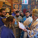 Сабор Пресвете Богородице у манастиру Сељанима код Пријепоља
