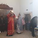 Празник Светог Трифуна у Пакрацу
