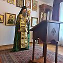 Patriarch Porfirije served the memorial service to Bishop Atanasije