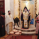 Празник Светог Теодорa Tирона у Александријској Патријаршији 