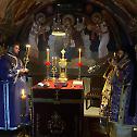 Мученици севастијски прослављени у Даљу