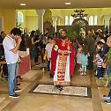 Lazarus Saturday and Palm Sunday throughout the Diocese of Eastern America (PHOTO)