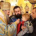 Patriarch Porfirije: We are made for love and eternity
