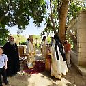 Liturgy in Jericho for Saint Zacchaeus the Publican