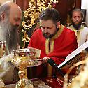 Patriarch Porfirije ordained deacon Dr. Srboljub Ubiparipovic ito the rank of priest