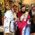 Празник Преноса моштију Светог Николаја у Никољцу