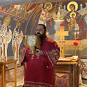 Свети великомученик Георгије прослављен у Даљ Планини